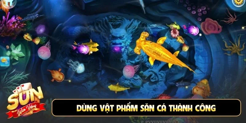 Dùng vật phẩm săn cá thành công